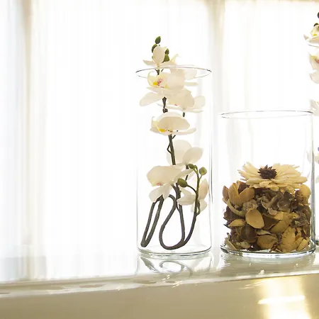 Hotel Selva Arenal El Arenal (Mallorca)