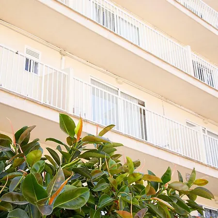 Hotel Selva Arenal El Arenal (Mallorca)