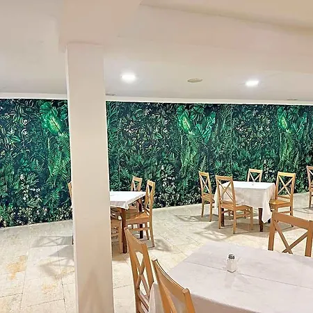 Selva Arenal 埃尔阿雷纳尔