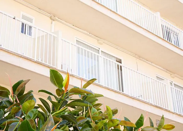 Hotel Selva Arenal El Arenal (Mallorca)