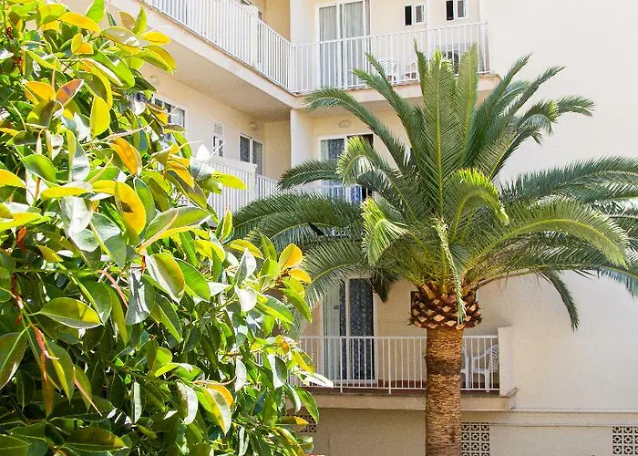 Selva Arenal 2* El Arenal (Mallorca)