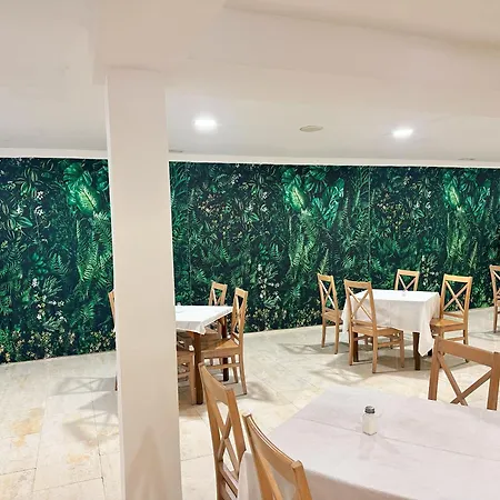 Selva Arenal 2* Ελ Αρενάλ